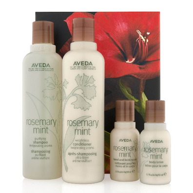 Ensemble Aveda Romarin™