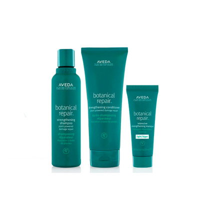 Aveda Set Botanical Repair Édition Limitée